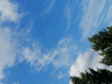 Felhőkép,1. FERINCZ HAJNALKA