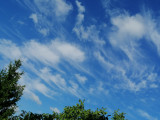 Felhőkép,5. FERINCZ HAJNALKA