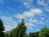 Felhőkép,8. FERINCZ HAJNALKA