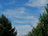 Felhőkép,9. FERINCZ HAJNALKA