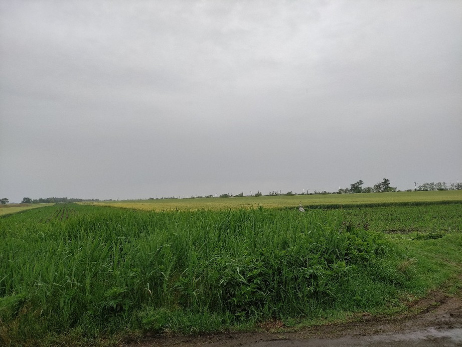 Lőkösháza