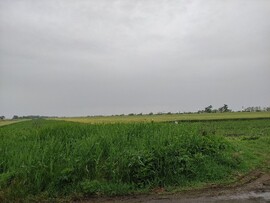 Lőkösháza