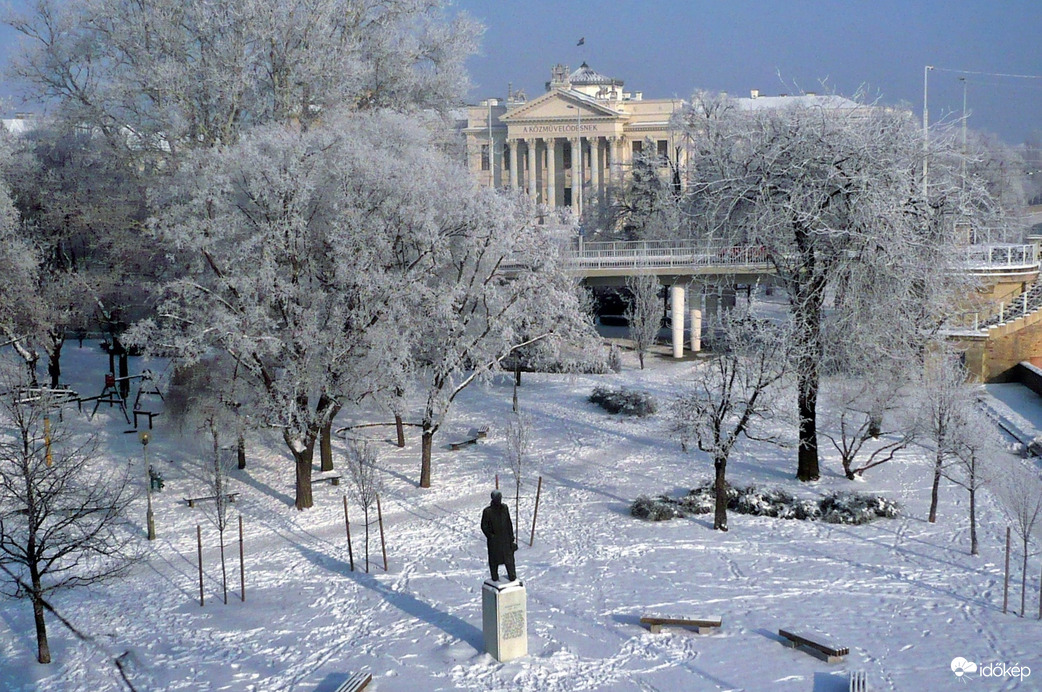 Téli szépség, 2010