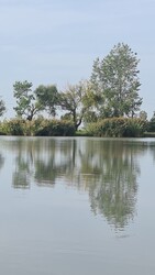 Báránd