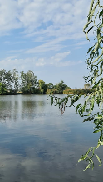 Tetétlen