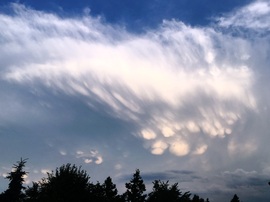 Mammatus