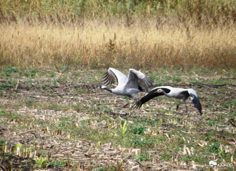 Felszállás