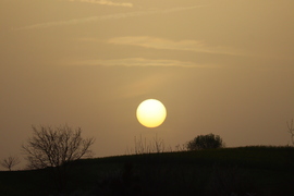 Sun in the dust
