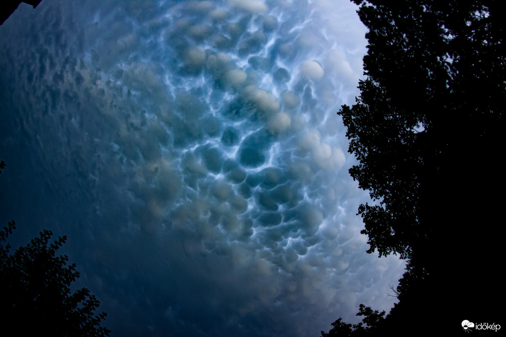 A mammatus 