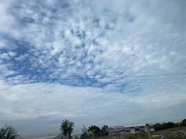 Hódmezővásárhely