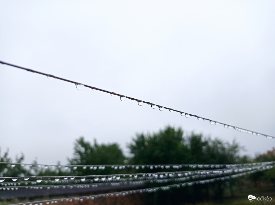 reggeli eső után