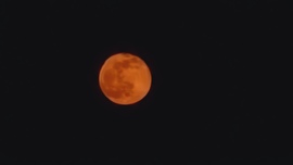Vörös Hold