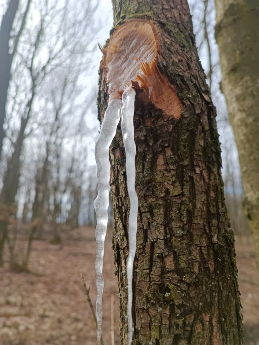 Pilisszentlászló