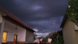 Sülysáp