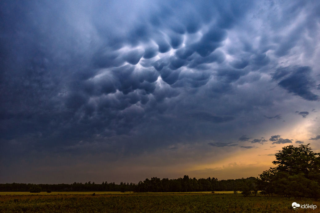 Szemet gyönyörködtető mammatus