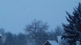 frajer fotója