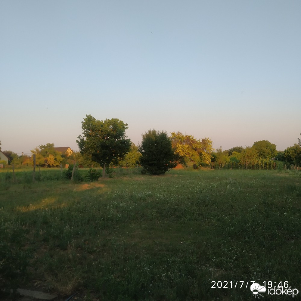 Polgárdi