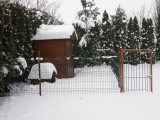 Hó a kertben