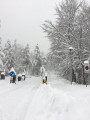 Plitvica