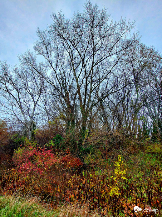 Vannak még színek :)