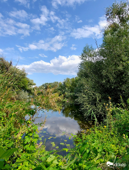 Holt - Rába 1.