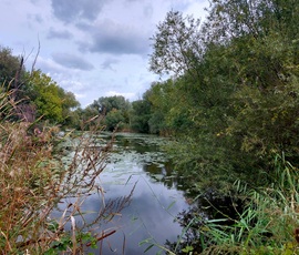 Holt-Marcal részlet