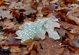 Még egy ékszerezett.