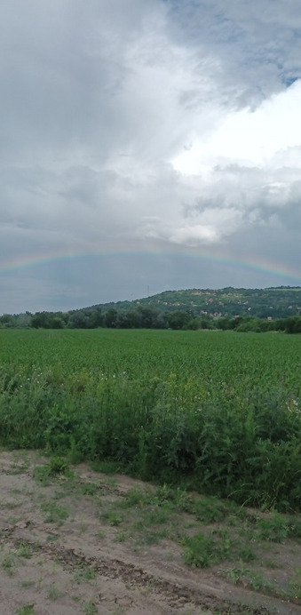 Tatabánya