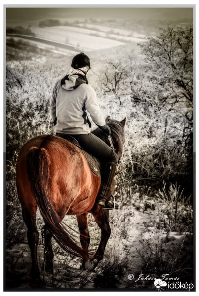 "Nincs oly bensőséges titok, mint amely a lovas és a ló között alakul ki."