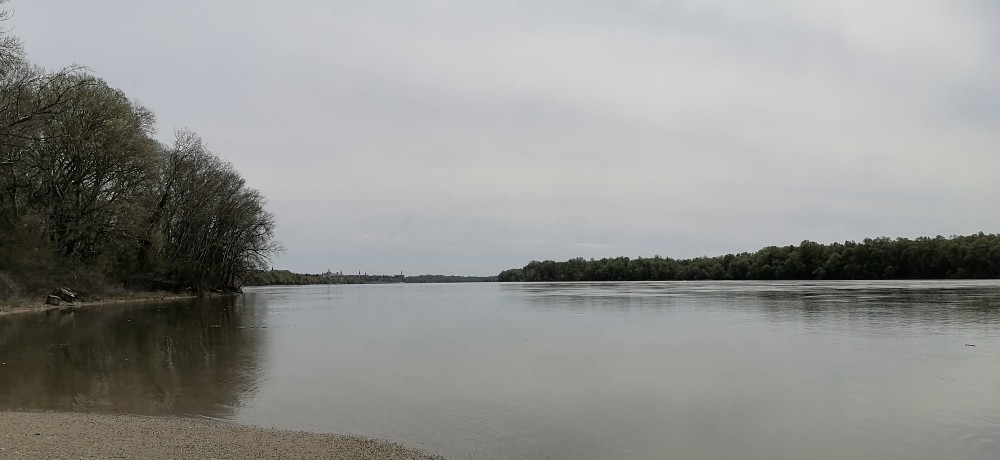 Vác-Nyulas