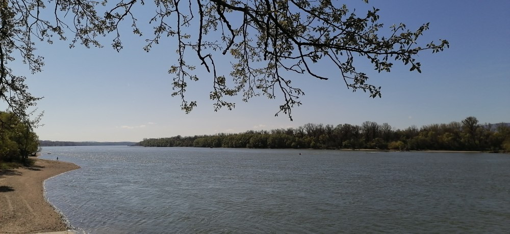 Vác