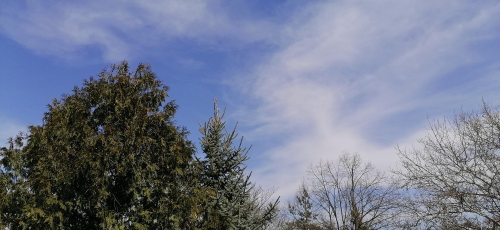 Vác