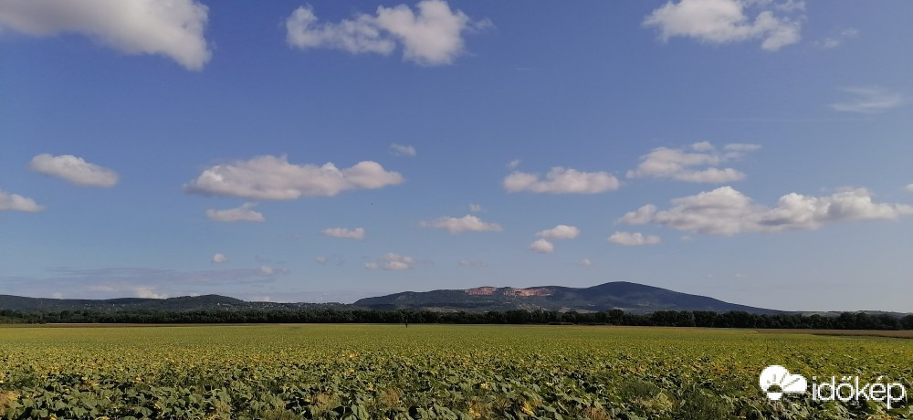 Dunabogdány