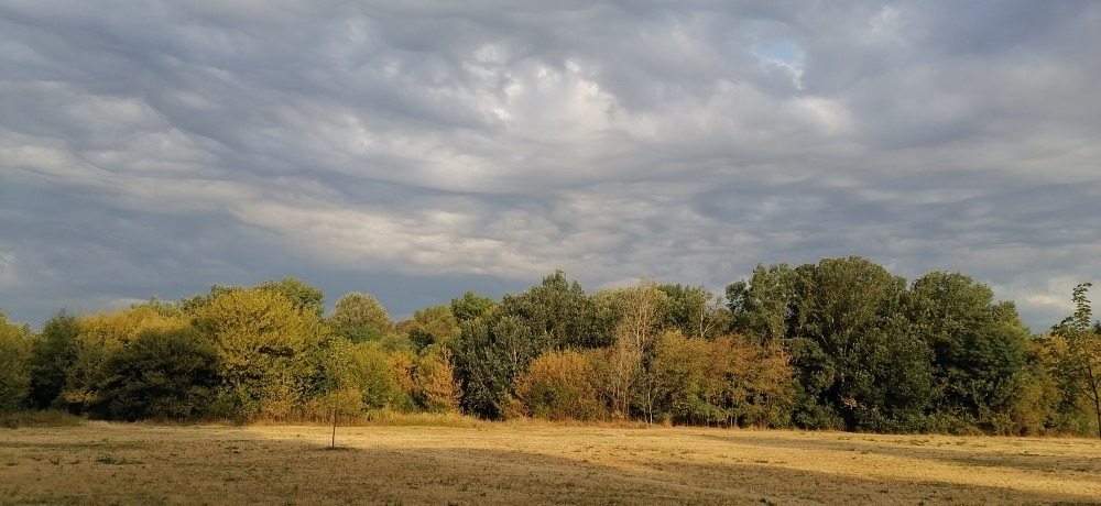 Vác