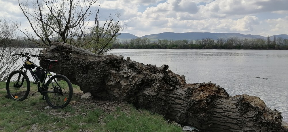 Sződliget