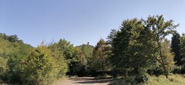 Szokolya