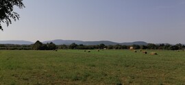 Verőce