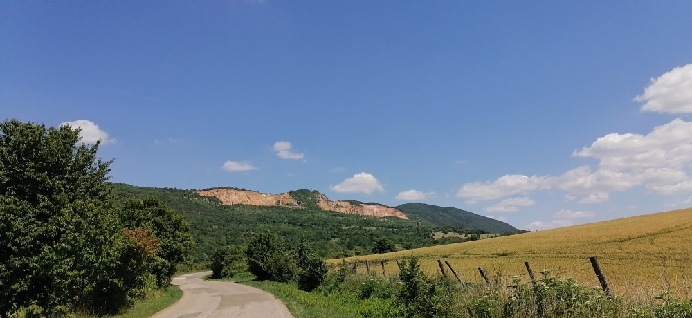 Vác-Nyulas