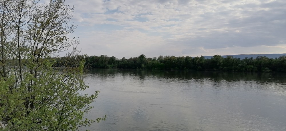 Vác