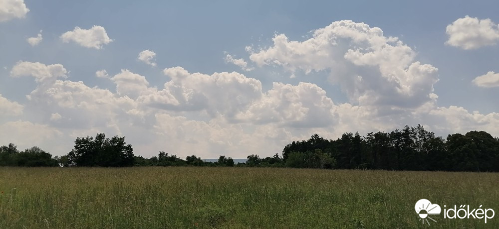 Vác-Nyulas
