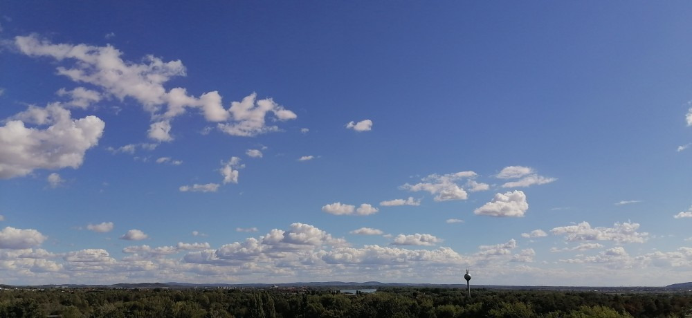 Vác-Nyulas