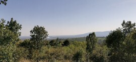 Szendehely