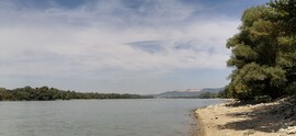 Sződliget
