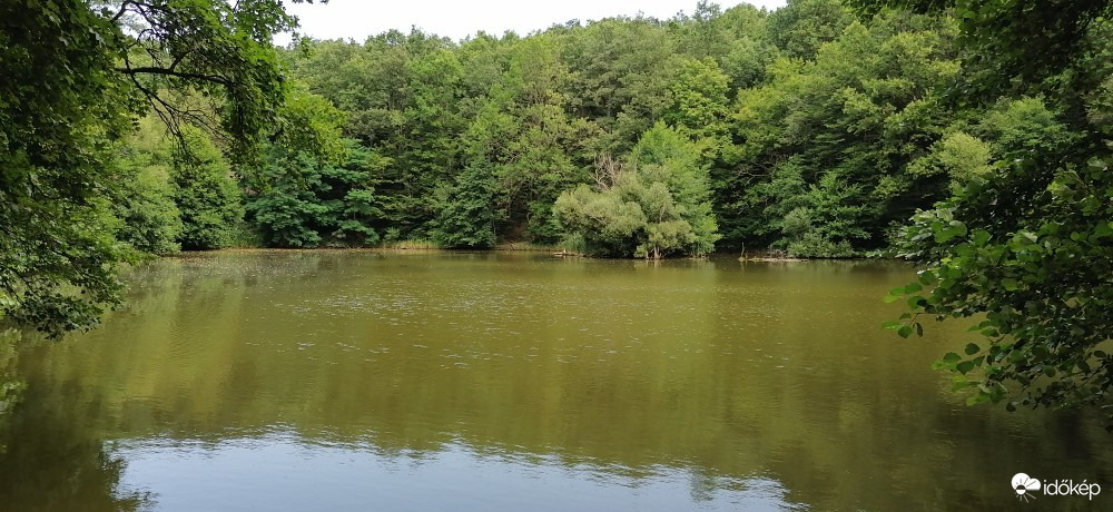 Szokolya
