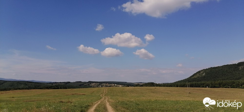 Vác-Nyulas