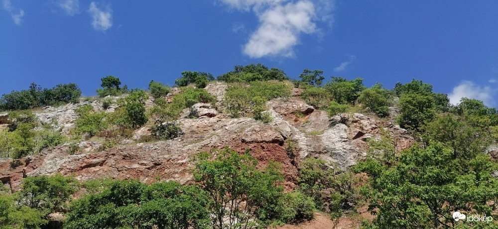 Szendehely