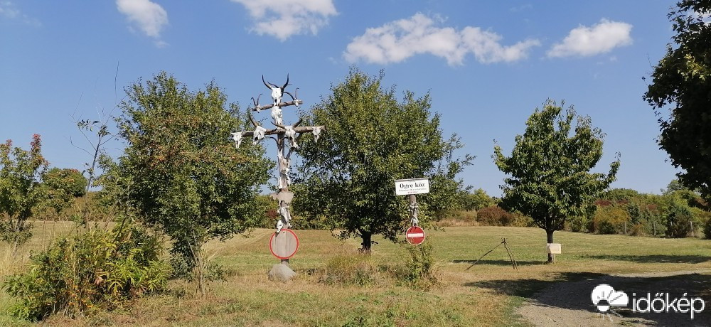 Szokolya