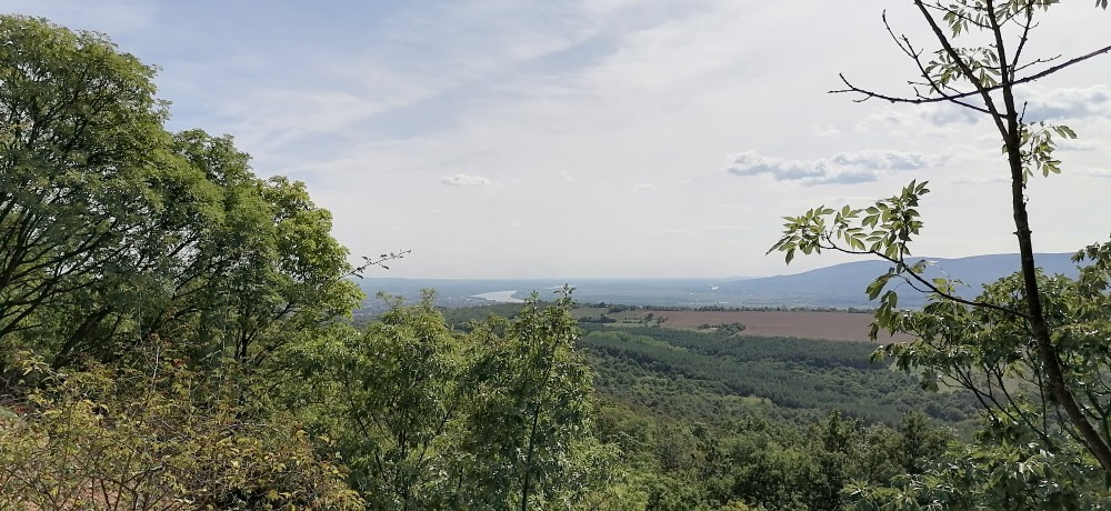 Szendehely