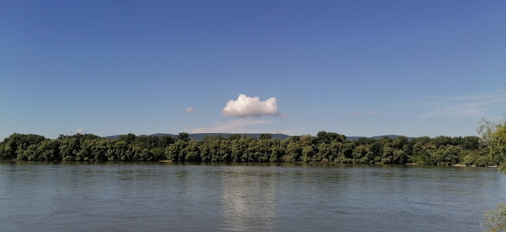 Vác
