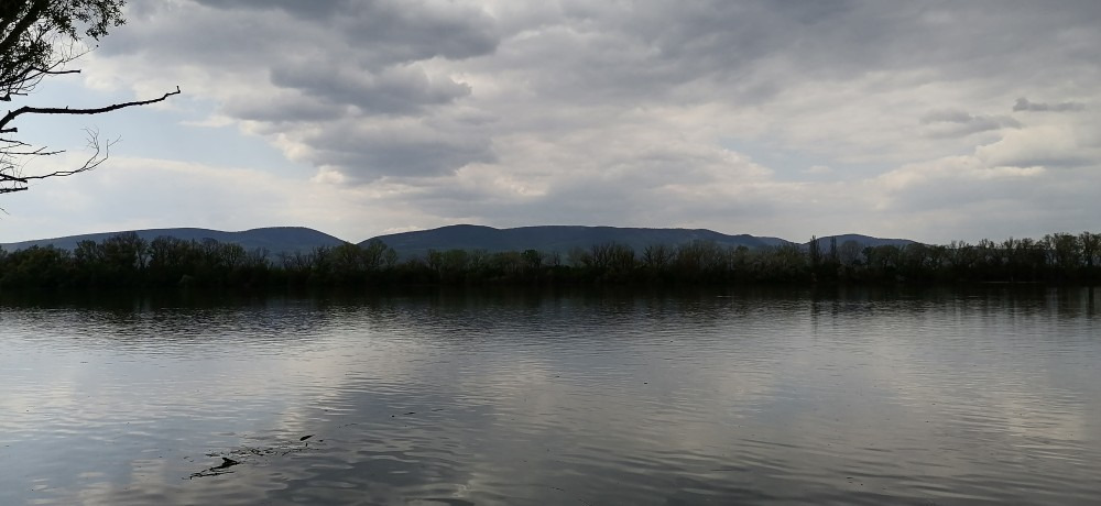 Sződliget